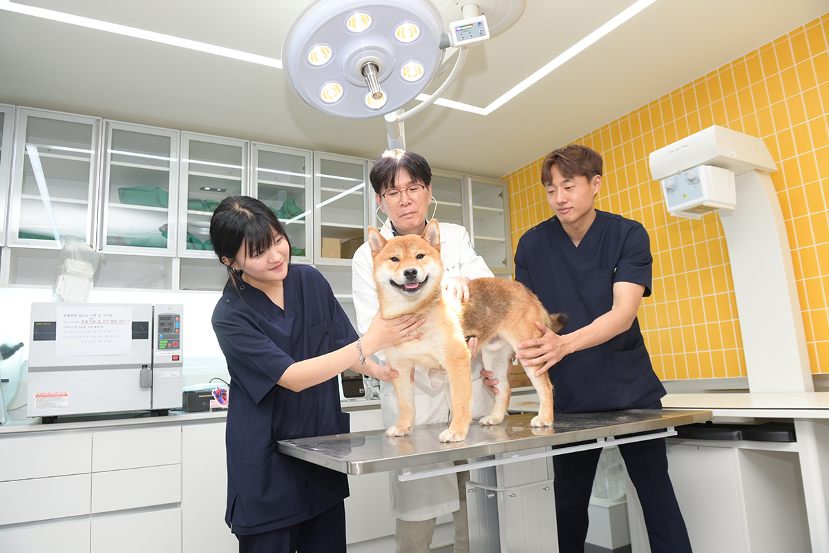 반려동물보건관리학과